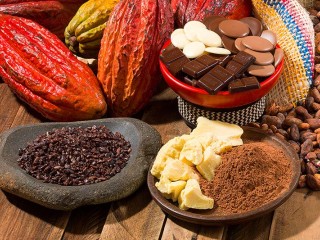 Cocoa and Derivatives
